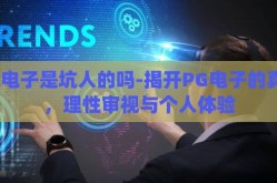pg电子是坑人的吗-揭开PG电子的真相，理性审视与个人体验