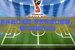 世界杯盘口回顾-世界杯盘口回顾，激情与策略的交织