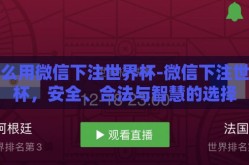 怎么用微信下注世界杯-微信下注世界杯，安全、合法与智慧的选择