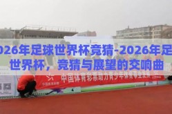 2026年足球世界杯竞猜-2026年足球世界杯，竞猜与展望的交响曲