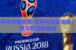 世界杯决赛竞猜-世界杯决赛竞猜，激情与智慧的碰撞