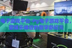 Pg电子游戏平台-Pg电子游戏平台,重塑娱乐体验的数字新纪元