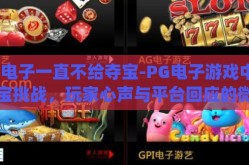 pg电子一直不给夺宝-PG电子游戏中的夺宝挑战，玩家心声与平台回应的微妙平衡