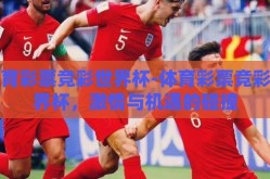 体育彩票竞彩世界杯-体育彩票竞彩世界杯，激情与机遇的碰撞
