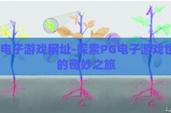 pg电子游戏网址-探索PG电子游戏世界的奇妙之旅