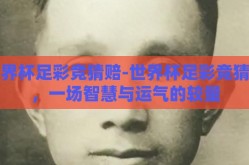 世界杯足彩竞猜赔-世界杯足彩竞猜赔，一场智慧与运气的较量