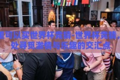 哪里可以买世界杯竞猜-世界杯竞猜，何处寻觅激情与乐趣的交汇点