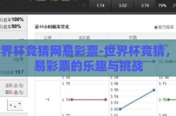 世界杯竞猜网易彩票-世界杯竞猜，网易彩票的乐趣与挑战