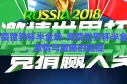 竞猜世界杯半全场-竞猜世界杯半全场，激情与策略的碰撞