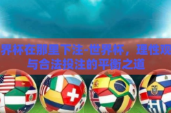 世界杯在那里下注-世界杯，理性观赛与合法投注的平衡之道