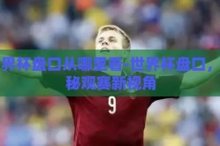 世界杯盘口从哪里看-世界杯盘口，揭秘观赛新视角