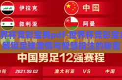 世界杯竞彩宝典pdf-世界杯竞彩宝典，解锁足球激情与智慧投注的秘密