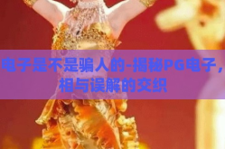 pg电子是不是骗人的-揭秘PG电子，真相与误解的交织