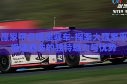 大赢家平台极速赛车-探索大赢家平台极速赛车的独特魅力与优势