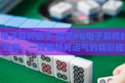 pg电子麻将胡了-探索PG电子麻将的胡了时刻，一场智慧与运气的精彩碰撞