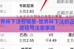世界杯下注在哪里-世界杯下注的正确途径与注意事项