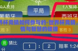 世界杯竞猜如何参与的-世界杯竞猜，激情与智慧的碰撞