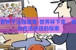 世界杯下注在哪里-世界杯下注，安全与合法途径的探索