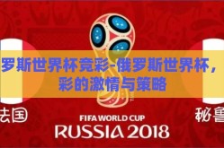 俄罗斯世界杯竞彩-俄罗斯世界杯，竞彩的激情与策略