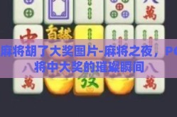 pg麻将胡了大奖图片-麻将之夜，PG麻将中大奖的璀璨瞬间