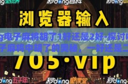 pg电子麻将胡了1好还是2好-探讨PG电子麻将中胡了的奥秘，一好还是二好？