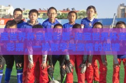 淘宝世界杯竞猜彩票-淘宝世界杯竞猜彩票，一场数字与激情的碰撞