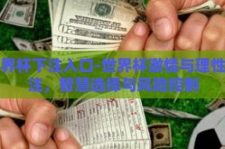 世界杯下注入口-世界杯激情与理性下注，智慧选择与风险控制