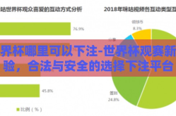 世界杯哪里可以下注-世界杯观赛新体验，合法与安全的选择下注平台