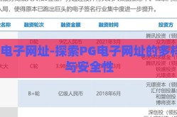 pg电子网址-探索PG电子网址的多样性与安全性