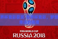 世界杯竞彩获奖-世界杯竞彩，梦想与幸运的碰撞