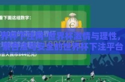 世界杯下注网-世界杯激情与理性，探索合法与安全的世界杯下注平台