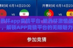 世界杯app竞猜平台-世界杯激情盛宴，解锁APP竞猜平台的无限魅力