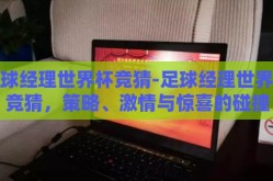 足球经理世界杯竞猜-足球经理世界杯竞猜，策略、激情与惊喜的碰撞