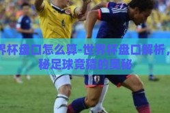 世界杯盘口怎么算-世界杯盘口解析，揭秘足球竞猜的奥秘