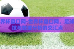 世界杯盘口网-世界杯盘口网，足球竞技与数据分析的交汇点