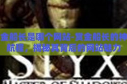 赏金船长是哪个网站-赏金船长的神秘航程，揭秘其背后的网站魅力