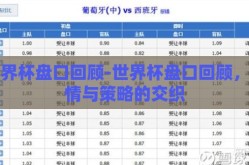 世界杯盘口回顾-世界杯盘口回顾，激情与策略的交织