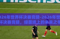 2026年世界杯决赛竞猜-2026年世界杯决赛竞猜，绿茵场上的未来之争