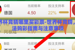 世界杯竞猜哪里买彩票-世界杯竞猜，合法购彩指南与注意事项