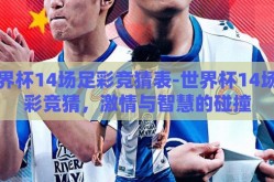 世界杯14场足彩竞猜表-世界杯14场足彩竞猜，激情与智慧的碰撞