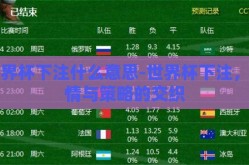 世界杯下注什么意思-世界杯下注，激情与策略的交织