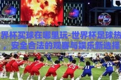 世界杯买球在哪里玩-世界杯足球热潮，安全合法的观赛与娱乐新选择