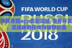世界杯竞猜app竞彩足球-世界杯竞猜，足球迷的狂欢与智慧较量