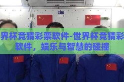 世界杯竞猜彩票软件-世界杯竞猜彩票软件，娱乐与智慧的碰撞