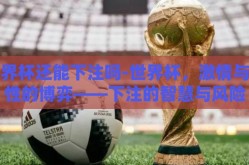 世界杯还能下注吗-世界杯，激情与理性的博弈——下注的智慧与风险
