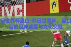 韩日世界杯盘口-韩日世界杯，盘口背后的足球盛宴与文化交融