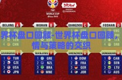 世界杯盘口回顾-世界杯盘口回顾，激情与策略的交织