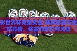 体彩世界杯竞猜奖金-体育彩票与世界杯竞猜，奖金的魅力与风险