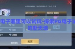 pg电子哪里可以试玩-探索PG电子试玩的新天地