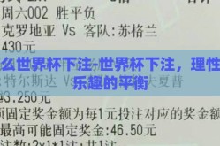 怎么世界杯下注-世界杯下注，理性与乐趣的平衡